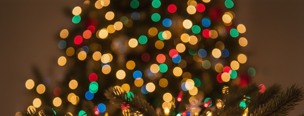 bokeh christmas lights San Jose